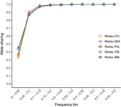 Admixture Has Shaped Romani Genetic Diversity in Clinically Relevant Variants